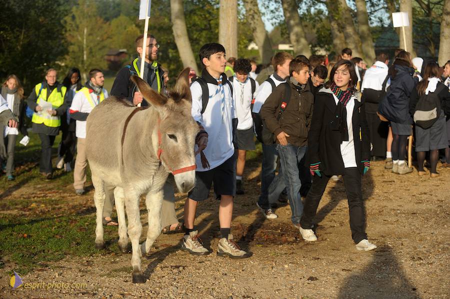 Nom de l'image : D30082853_1_(c)Norbert-JUNG — Description :